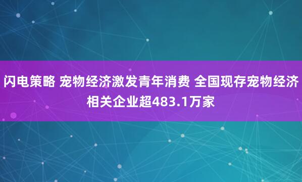 闪电策略 宠物经济激发青年消费 全国现存宠物经济相关企业超483.1万家