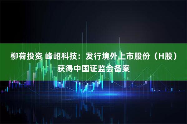 柳荷投资 峰岹科技：发行境外上市股份（H股）获得中国证监会备案