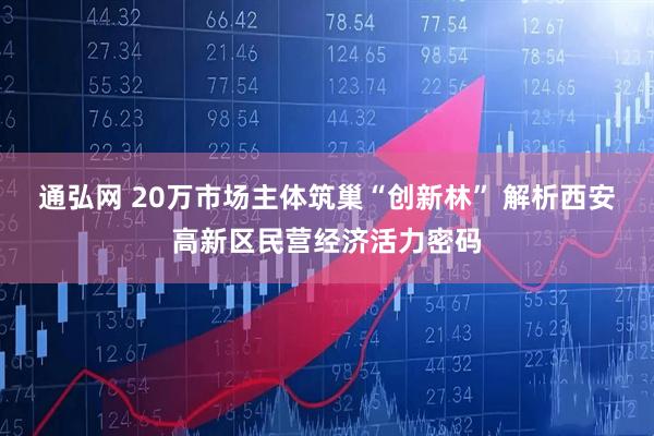 通弘网 20万市场主体筑巢“创新林” 解析西安高新区民营经济活力密码