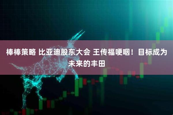 棒棒策略 比亚迪股东大会 王传福哽咽！目标成为未来的丰田