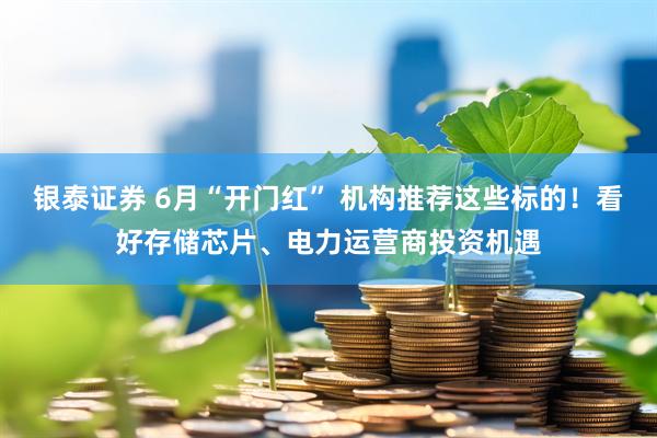 银泰证券 6月“开门红” 机构推荐这些标的！看好存储芯片、电力运营商投资机遇