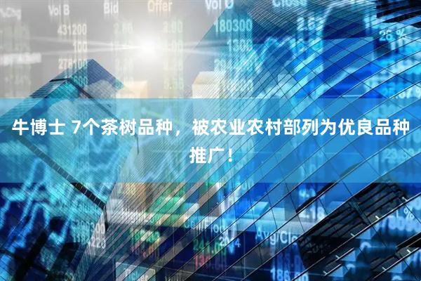 牛博士 7个茶树品种，被农业农村部列为优良品种推广！