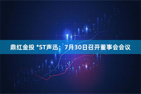 鼎红金投 *ST声迅：7月30日召开董事会会议