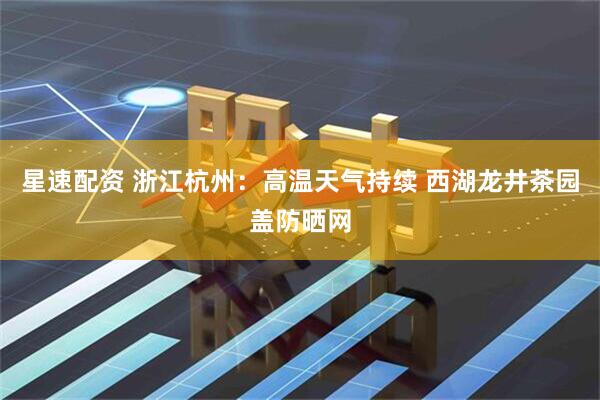 星速配资 浙江杭州：高温天气持续 西湖龙井茶园盖防晒网