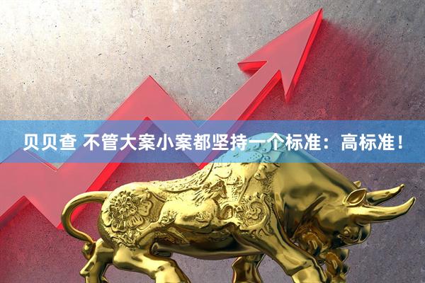 贝贝查 不管大案小案都坚持一个标准：高标准！