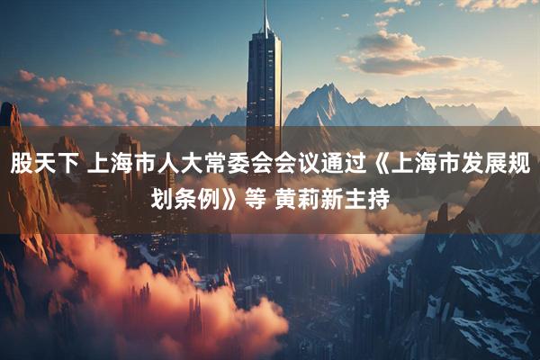 股天下 上海市人大常委会会议通过《上海市发展规划条例》等 黄莉新主持