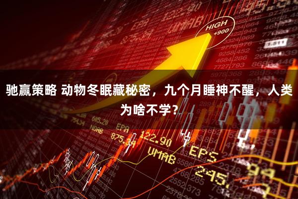 驰赢策略 动物冬眠藏秘密,九个月睡神不醒,人类为啥不学?
