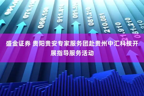 盛金证券 贵阳贵安专家服务团赴贵州中汇科技开展指导服务活动