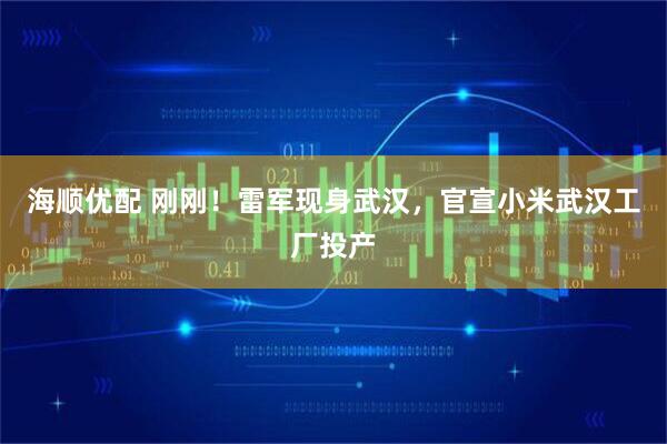 海顺优配 刚刚!雷军现身武汉,官宣小米武汉工厂投产