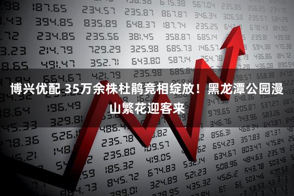 博兴优配 35万余株杜鹃竞相绽放!黑龙潭公园漫山繁花迎客来