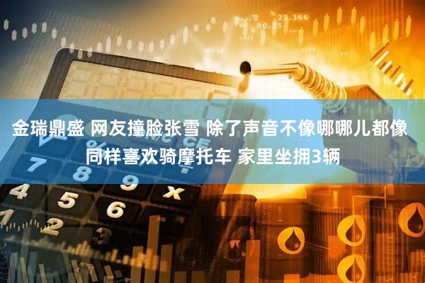 金瑞鼎盛 网友撞脸张雪 除了声音不像哪哪儿都像 同样喜欢骑摩托车 家里坐拥3辆
